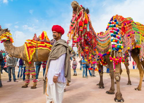 The Tour To The Heart Of Rajasthan