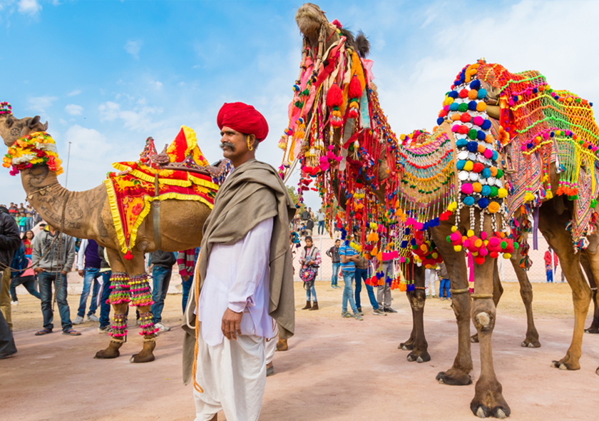 The Tour To The Heart Of Rajasthan